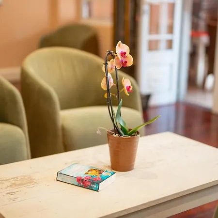Bed & Breakfast O Cantinho Da Mariazinha *